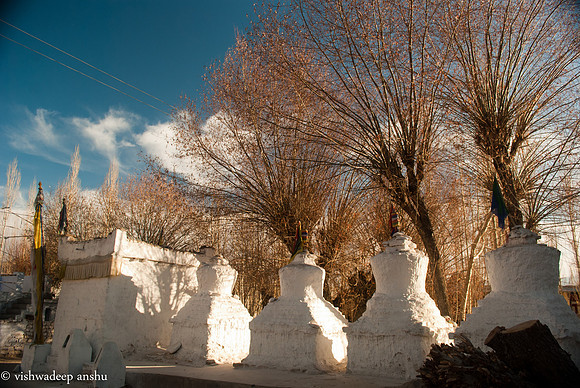 Leh-111223174535