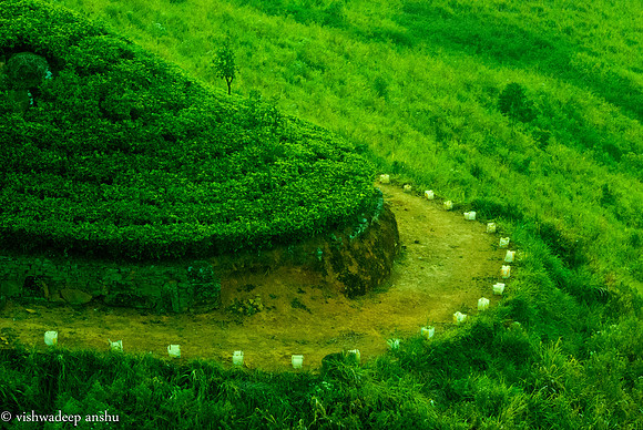 Srilanka-0078
