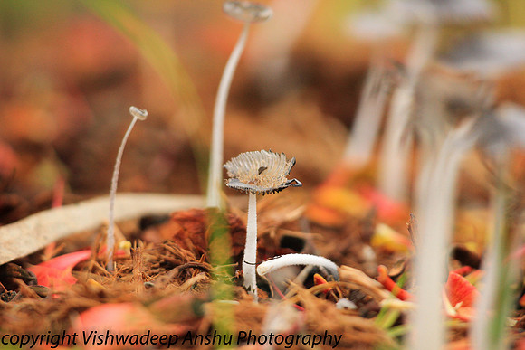 20130601-IMG_7344