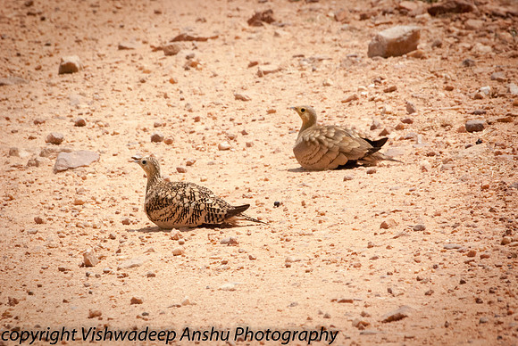 20120310-DSC_0109