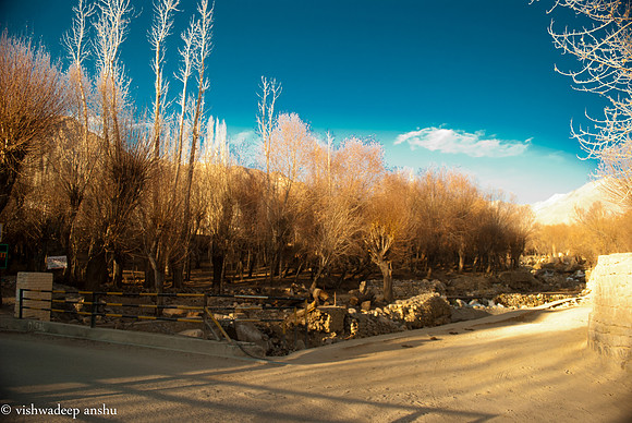 Leh-111223174204