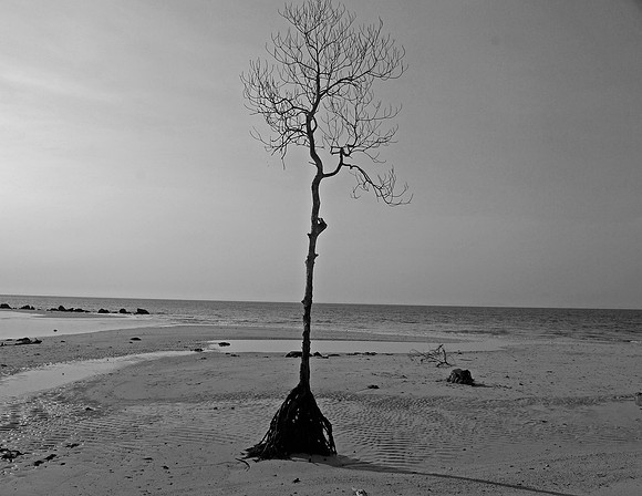 Lakshwadeep & Andaman 0086DSC_0086a