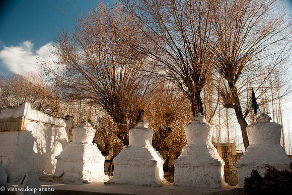 Leh-111223174526
